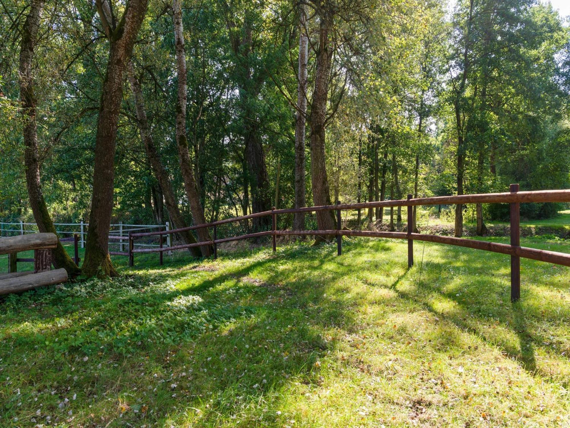 Holiday Home On A Horse Farm In The L Neburg Heath Eschede Exterior photo